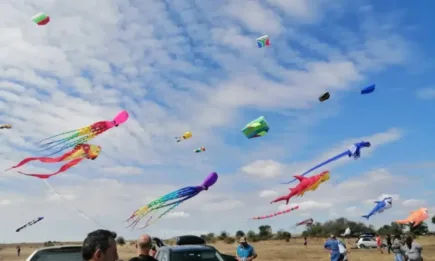 Шабла събра отново любителите на птиците и хвърчилата