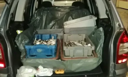 Нерегламентирана продажба на риба в гр. Поморие