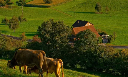 Стопаните получават до 72 млн. лева за преодоляване на щетите заради Covid-19