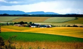 Реформата на ОСП дава нови възможности за фермерите