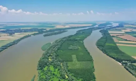 Експедиция по река Дунав следи популацията на редкия къдроглав пеликан и свързва местните хора с вида и реката