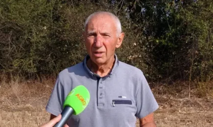 Полезащитните пояси – естествените защитници на почвата и на добивите