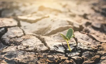 Светът може да се сблъска с 40% недостиг на вода до 2030 г.