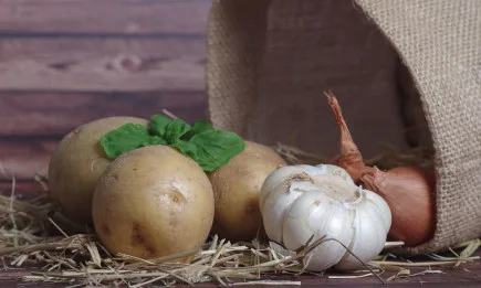 Производителите на картофи, лук и чесън трябва да докажат реализирана продукция по обвързаната подкрепа до 31 януари