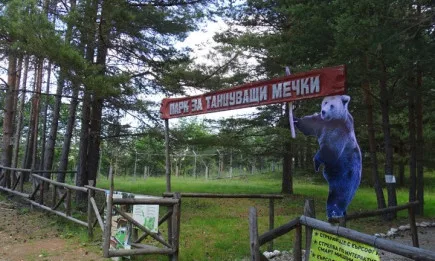Ще отстрелят мечката в Белица, ако нападне отново