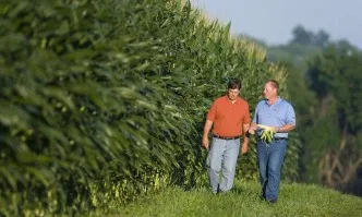 ДФЗ ще изплати субсидиите на земеделските производители по СЕПП на 16 декември, а за необлагодетелствани райони до 20 декември