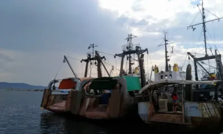 Извършените плащания по Програмата за морско дело и рибарство през 2022 г. достигат 104% от заложените