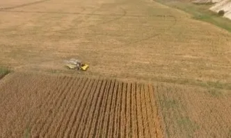 Рекордни добиви при царевицата на Пионер