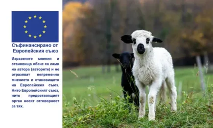 ДФЗ публикува насоки за кандидатстване по интервенцията Хуманно отношение към животните и антимикробна резистентност за Кампания 2023