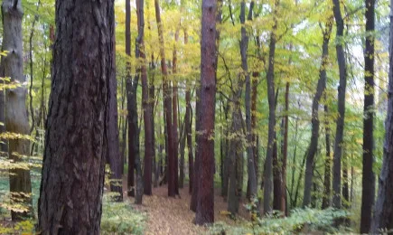 Миналата седмица завърши обхода на съществуващите над 200 км туристически маршрути и екопътеки