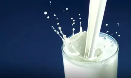 България е сред страните в ЕС с най-ниска изкупна цена на млякото