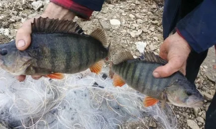 Поредна проверка на язовир Жребчево