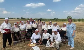 Към момента са ожънати 22 % от засетите площи с пшеница в страната