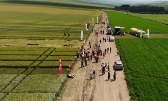 Торовете Лебозол помагат на посевите да са здрави