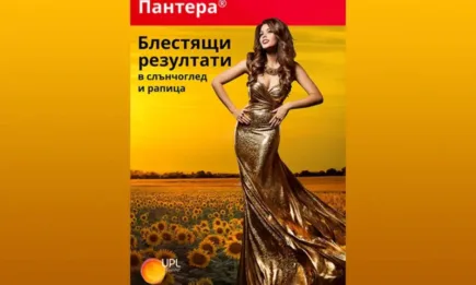 Пантера 40 ЕК – блестящи резултати в слънчоглед и рапица