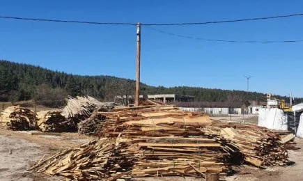 11 акта за нарушения на горското законодателство съставиха при внезапна проверка екипи на ИАГ и РДГ на територията на община Самоков