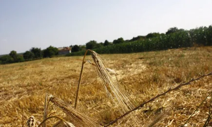 ПП Обединени земеделци организира конференция за европейските програми с участието на еврокомисаря Мария Габриел