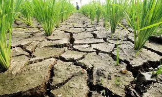 Германия изплати 228 млн. евро помощи за 2018 г.