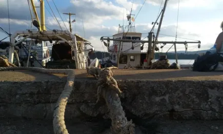 ЕП е против забраната на мобилния дънен риболов