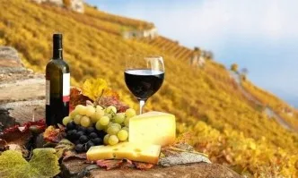 Биовиното все по-популярно в Италия