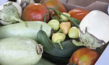 Важно за биопроизводителите!