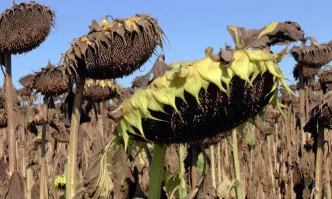 Време за равносметка