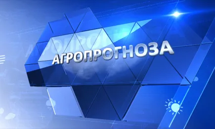 Седмична агрометеорологична прогноза 16.07 - 22.07.2021 г.