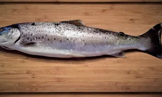 БАБХ започва проверки на обектите, предлагащи риба за Никулден