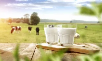 Расте световното производство на мляко