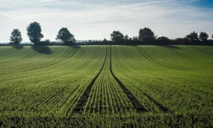 Наднормени температури, без съществени валежи