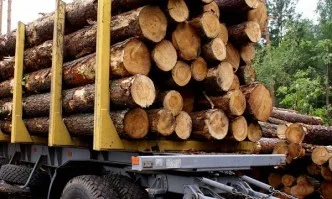 Подобряване на системата за контрол на дървесината предвижда проект на Наредба за контрола и опазването на горските територии
