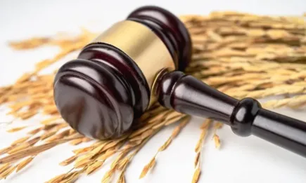 Италия запорира 600 000 евро от фермер, обвинен в измама