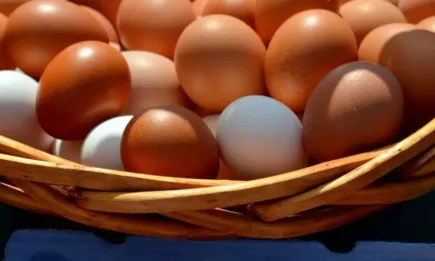 Министър Кирил Вътев и Георги Стоянов ще открият фермерското изложение пред МЗХ