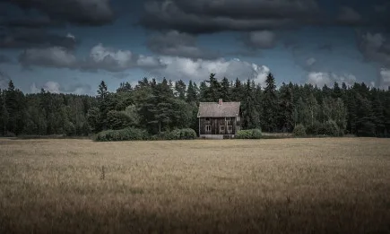 Държавните горски предприятия и Изпълнителната агенция по горите в последните 4 дни са реализирали над 4700 проверки