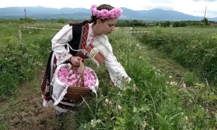 Розобер и розоварене – ритуали с привкус на българщина