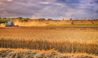 Зърнената реколта в ЕС е със 7% по-голяма