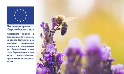 От 17 юли ДФЗ отваря прием на заявления за подпомагане по интервенциите в сектор Пчеларство през СЕУ