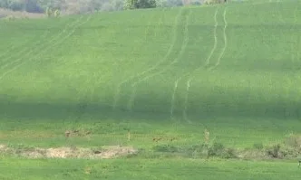 Ландшафтът и неговата социално-икономическа роля в селските райони