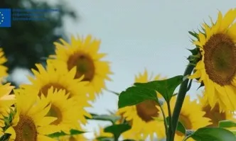 Тази седмица в предаването Общата селскостопанска политика – от полза за всички нас