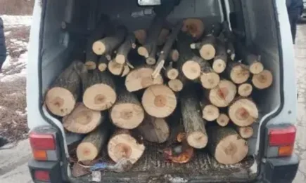 Двадесет акта за нарушение на Закона за горите съставиха служителите на Регионална дирекция по горите – София през последните пет дни