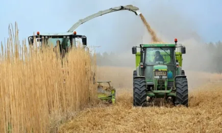 След много усилия и становища от страна на НАЗ: Ренти до 3000 лв. няма да се декларират