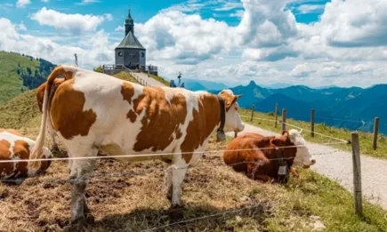 ЕК одобри стратегическите планове на Германия, Гърция и Литва