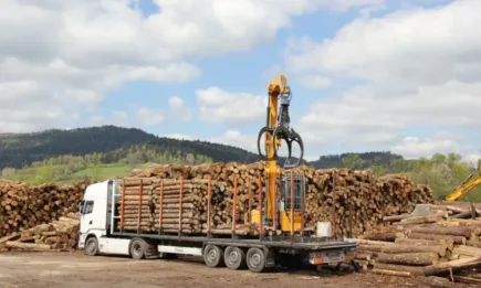 Над 4000 проверки са извършени от служители от държавните горски предприятия и Изпълнителна агенция по горите