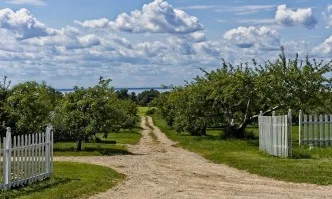 Берлин, Париж и Мадрид с обща позиция за реформите на ОСП