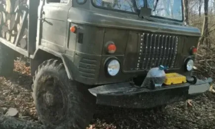 Горски инспектори от ИАГ заловиха лица, извършващи незаконен добив на дървесина в Ломско