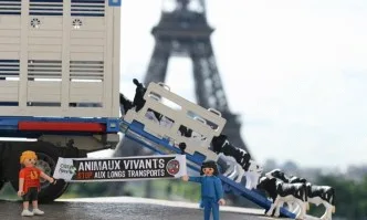 Франция спира транспорта на животни