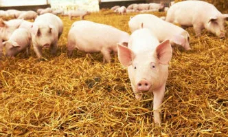 Тази седмица в предаването ОСП – от полза за всички нас: ЕС има едни от най-високите стандарти...