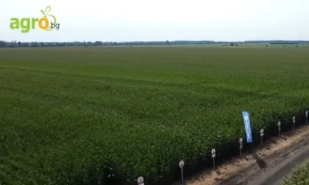 ЗК Бъдеще: 100% семена, 100% растителна защита от Кортева