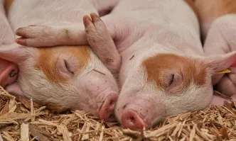 Русия се изкачи на пето място в света