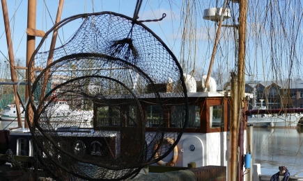 Променени са таксите за издаване на разрешително за стопански, любителски риболов и други административни услуги осъществявани от ИАРА